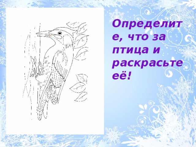 Определите, что за птица и раскрасьте её! 