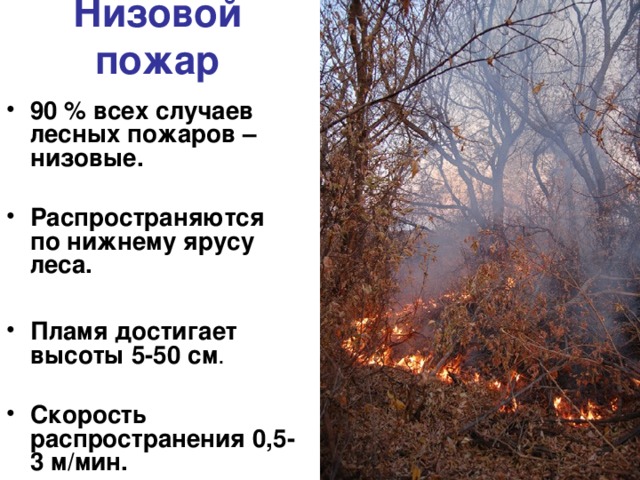 Низовой пожар 90 % всех случаев лесных пожаров – низовые.  Распространяются по нижнему ярусу леса.  Пламя достигает высоты 5-50 см . Скорость распространения 0,5-3 м/мин. 
