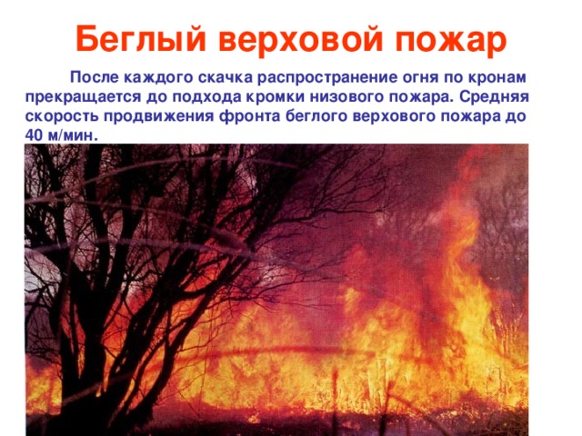 Беглый верховой пожар  После каждого скачка распространение огня по кронам прекращается до подхода кромки низового пожара. Средняя скорость продвижения фронта беглого верхового пожара до 40 м/мин. 