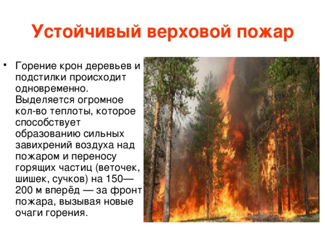 Устойчивый верховой пожар Горение крон деревьев и подстилки происходит одновременно. Выделяется огромное кол-во теплоты, которое способствует образованию сильных завихрений воздуха над пожаром и переносу горящих частиц (веточек, шишек, сучков) на 150—200 м вперёд — за фронт пожара, вызывая новые очаги горения.  