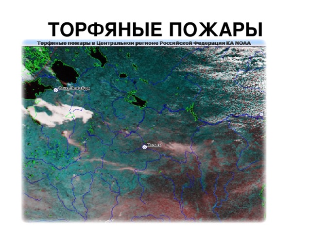 ТОРФЯНЫЕ ПОЖАРЫ 
