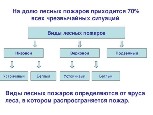 На долю лесных пожаров приходится 70% всех чрезвычайных ситуаций .  Виды лесных пожаров Низовой Верховой Подземный Беглый Устойчивый Устойчивый Беглый Виды лесных пожаров определяются от яруса леса, в котором распространяется пожар. 