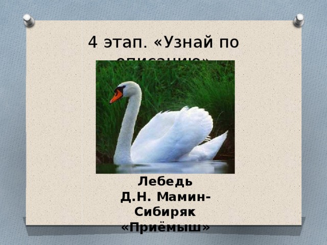 О чем рассказ приемыш мамин. Мамин Сибиряк про лебедя. Лебедь из приемыша.