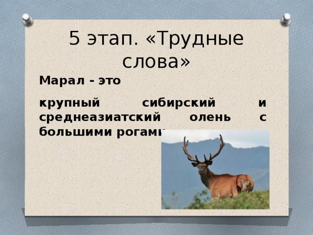 5 этап. «Трудные слова» Марал - это крупный сибирский и среднеазиатский олень с большими рогами 