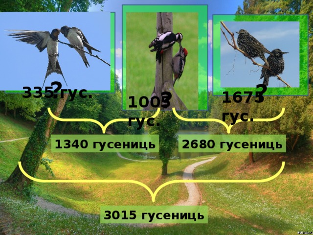 ? ? 335 гус. ? 1675 гус. 1005 гус. 2680 гусениць 1340 гусениць 3015 гусениць 