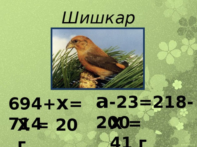 Шишкар а -23=218-200 694+ х =714 Х = 41 г Х = 20 г 