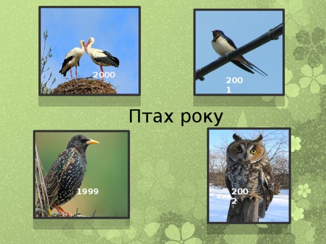 2000 2001 Птах року 1999 2002 