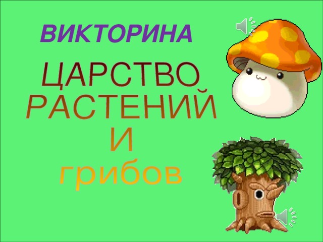 ВИКТОРИНА 