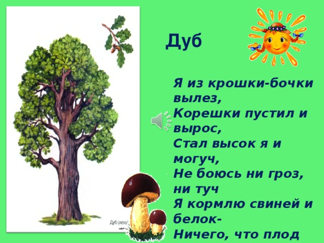 Дуб Я из крошки-бочки вылез,  Корешки пустил и вырос,  Стал высок я и могуч,  Не боюсь ни гроз, ни туч  Я кормлю свиней и белок-  Ничего, что плод мой мелок . 