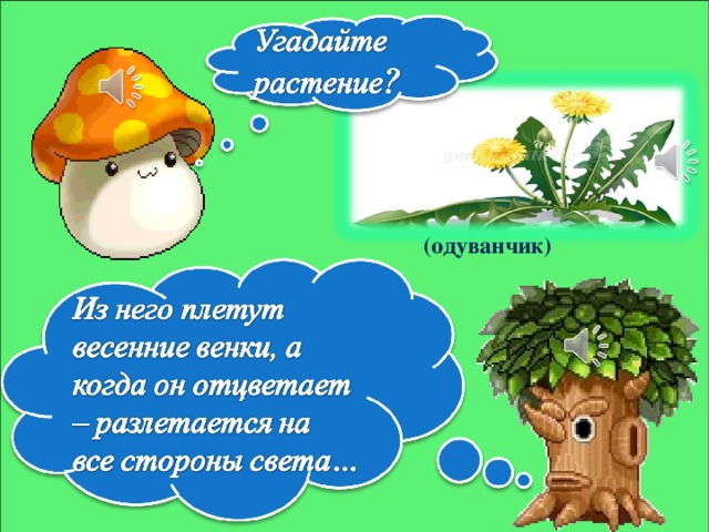 (одуванчик)   