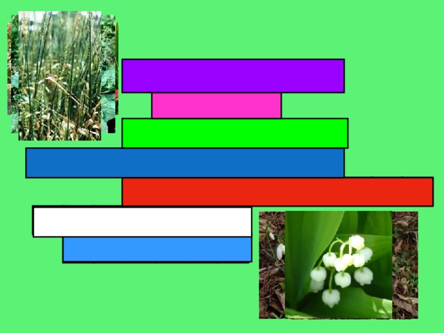 О Р К  М А   А  Ш  О З  А  Р   П А Н Ь Л Т Ю П О Д К О Р О Н Ж И П Д Е Ж Н С О Н И К Н Ц И А Ш П Е Ы Н Ш Л А Д 