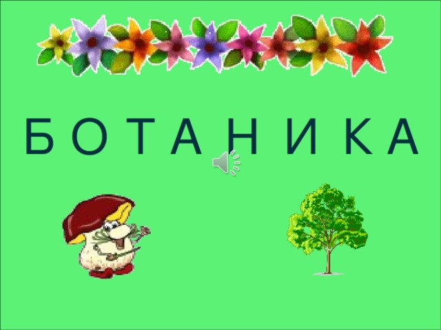 Б О Т А Н И К А 