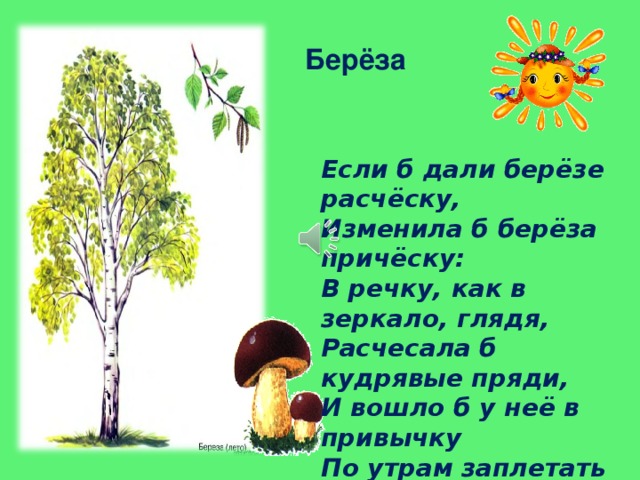 Берёза Если б дали берёзе расчёску,  Изменила б берёза причёску:  В речку, как в зеркало, глядя,  Расчесала б кудрявые пряди,  И вошло б у неё в привычку  По утрам заплетать косичку . 