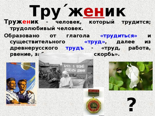 Тру΄ж ен ик Труж ен ик - человек, который трудится; трудолюбивый человек. Образовано от глагола «трудиться» и существительного «труд» , далее из древнерусского трудъ - «труд, работа, рвение, забота, страдание, скорбь». ?          