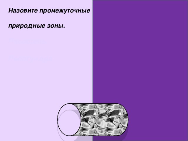 Назовите промежуточные  природные зоны.  Лесостепь  Лесотундра 