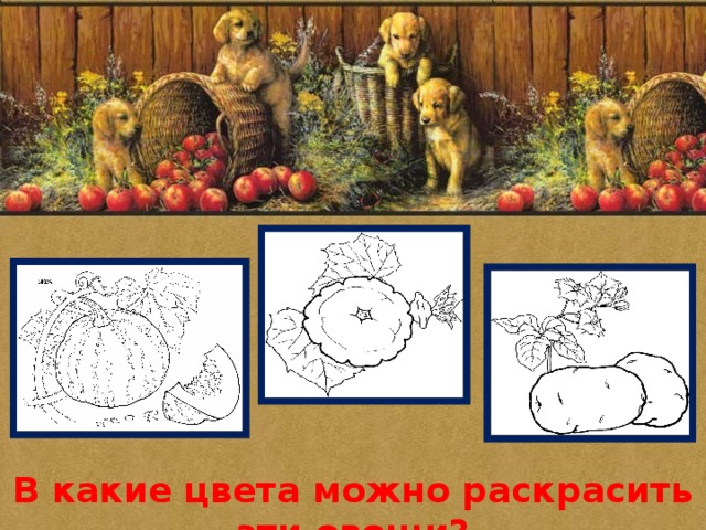 В какие цвета можно раскрасить эти овощи? 