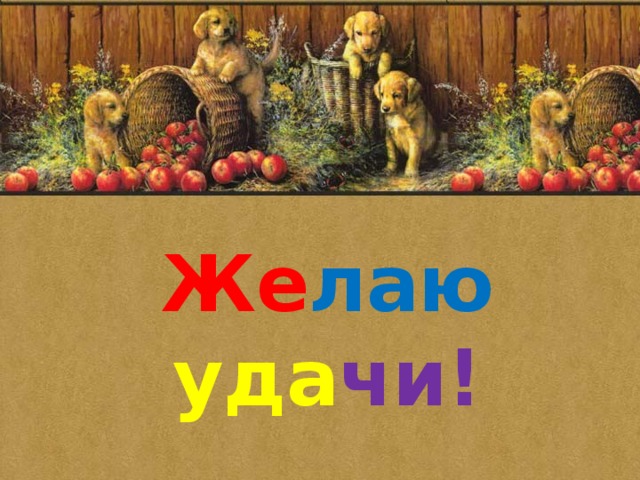 Же лаю  уда чи! 
