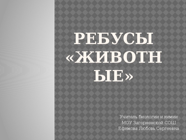 Ребусы  «Животные» Учитель биологии и химии МОУ Загорненской СОШ Ефимова Любовь Сергеевна 