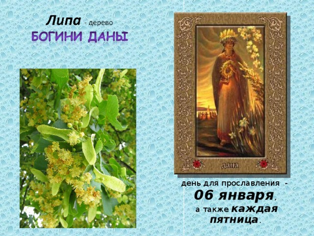 день для прославления - 06 января ,  а также каждая пятница . 