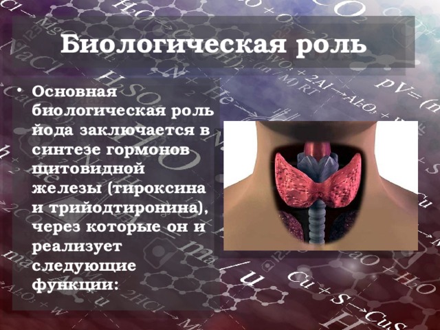 Биологическая роль йода в организме человека. Биологическая роль йода в организме. Биологическое значение йода. Биологическое значение йода. Биологическая роль йода в организме человека.