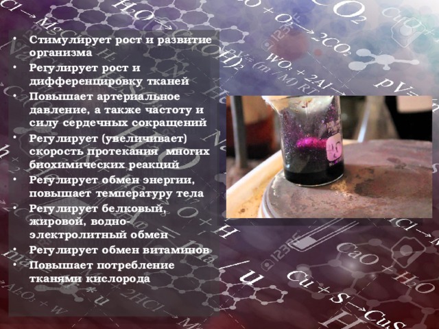 Стимулирует рост и развитие организма Регулирует рост и дифференцировку тканей Повышает артериальное давление, а также частоту и силу сердечных сокращений Регулирует (увеличивает) скорость протекания многих биохимических реакций Регулирует обмен энергии, повышает температуру тела Регулирует белковый, жировой, водно-электролитный обмен Регулирует обмен витаминов Повышает потребление тканями кислорода 