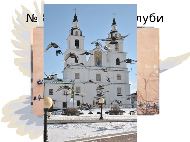 № 8 Городские голуби 