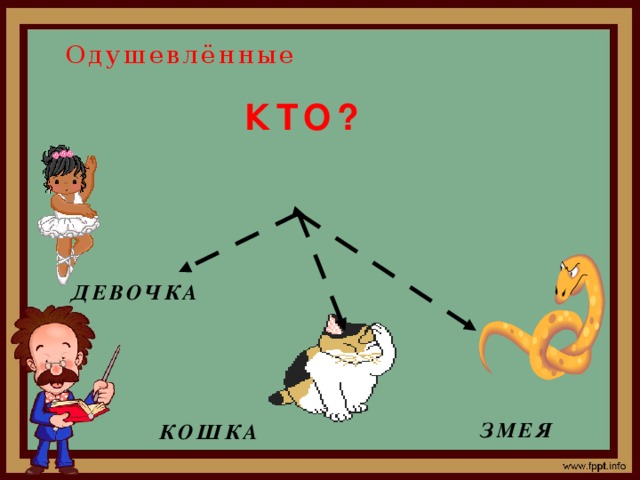  Одушевлённые  КТО? ДЕВОЧКА ЗМЕЯ КОШКА 