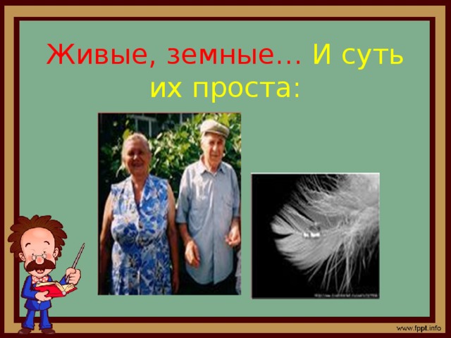 Живые, земные… И суть их проста: 