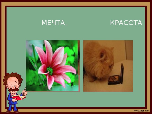  МЕЧТА, КРАСОТА 