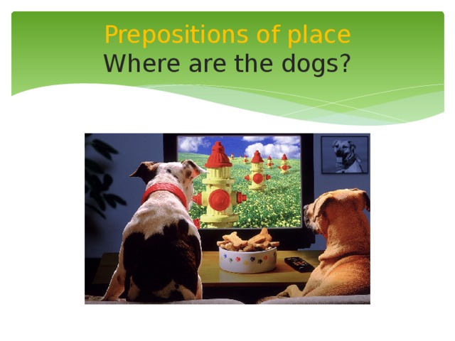 Prepositions of place  Where are the dogs? 