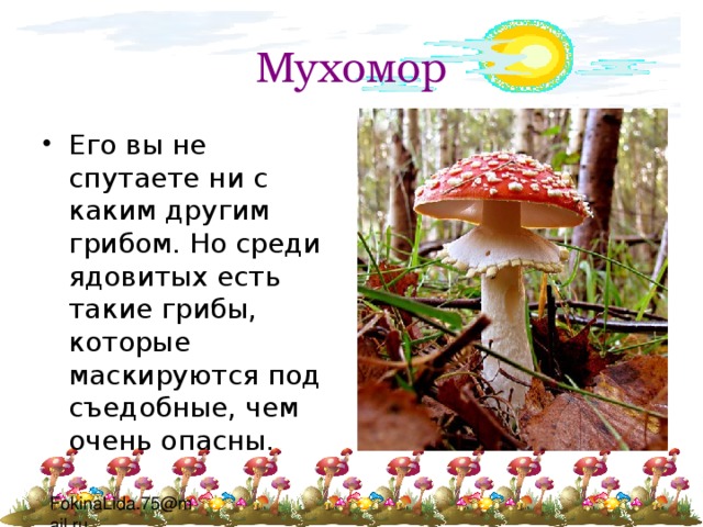 Мухомор Его вы не спутаете ни с каким другим грибом. Но среди ядовитых есть такие грибы, которые маскируются под съедобные, чем очень опасны. 