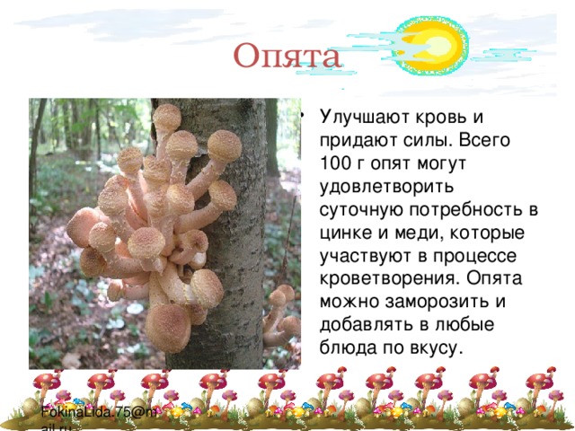 Опята Улучшают кровь и придают силы. Всего 100 г опят могут удовлетворить суточную потребность в цинке и меди, которые участвуют в процессе кроветворения. Опята можно заморозить и добавлять в любые блюда по вкусу. 