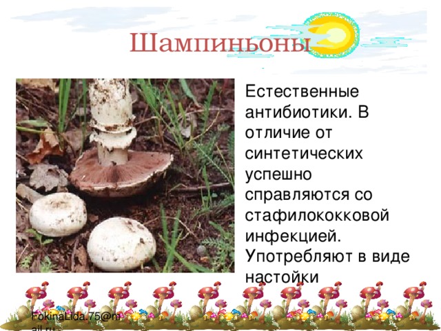 Шампиньоны Естественные антибиотики. В отличие от синтетических успешно справляются со стафилококковой инфекцией. Употребляют в виде настойки 