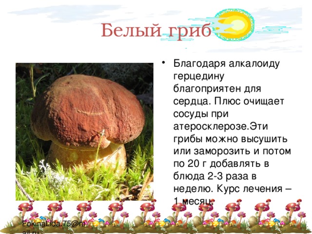 Белый гриб Благодаря алкалоиду герцедину благоприятен для сердца. Плюс очищает сосуды при атеросклерозе.Эти грибы можно высушить или заморозить и потом по 20 г добавлять в блюда 2-3 раза в неделю. Курс лечения – 1 месяц. 