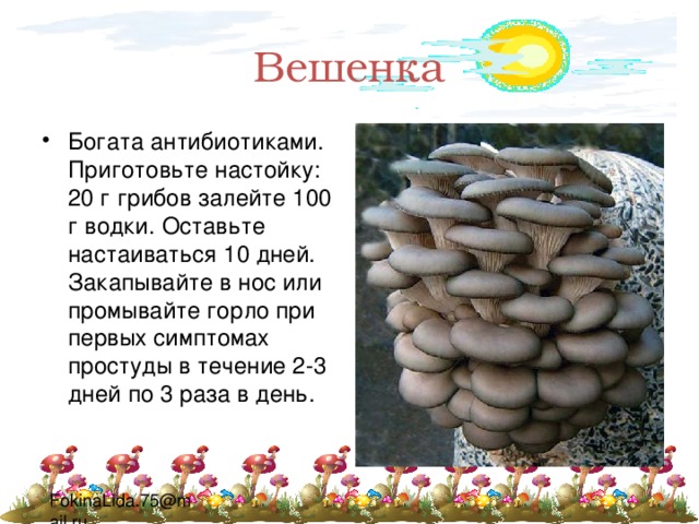 Вешенка Богата антибиотиками. Приготовьте настойку: 20 г грибов залейте 100 г водки. Оставьте настаиваться 10 дней. Закапывайте в нос или промывайте горло при первых симптомах простуды в течение 2-3 дней по 3 раза в день. 