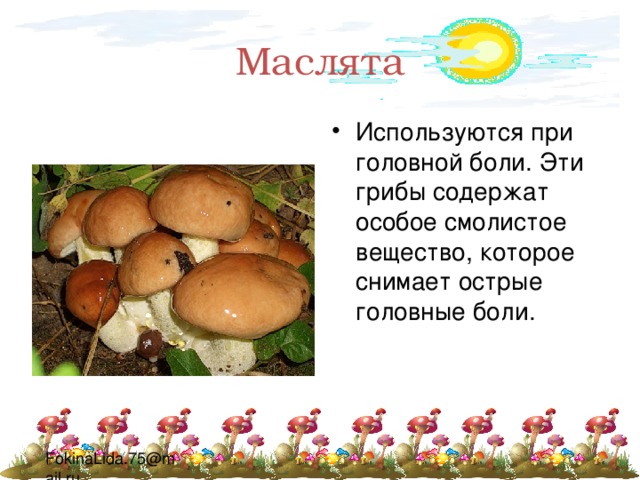 Маслята Используются при головной боли. Эти грибы содержат особое смолистое вещество, которое снимает острые головные боли. 