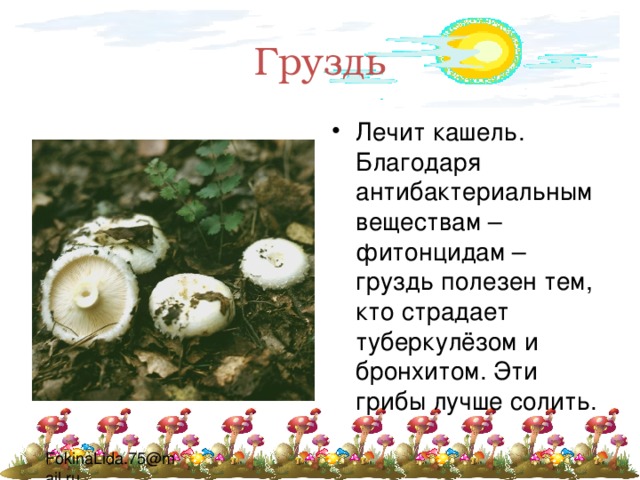 Груздь Лечит кашель. Благодаря антибактериальным веществам – фитонцидам – груздь полезен тем, кто страдает туберкулёзом и бронхитом. Эти грибы лучше солить. 