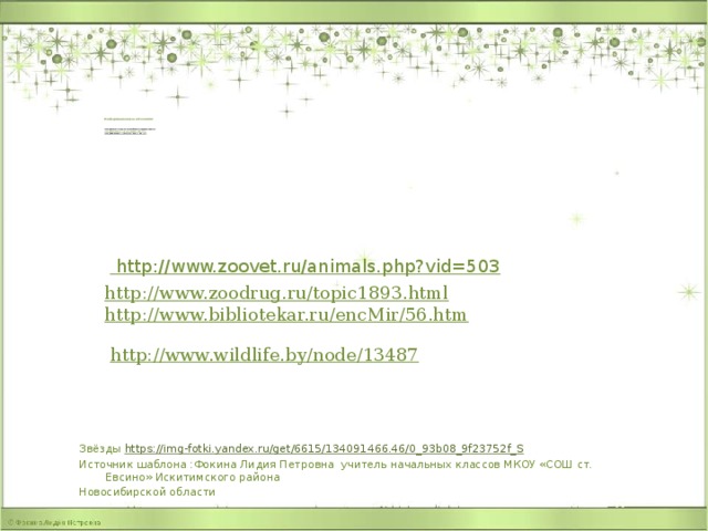        Информационные источники:    http://www.ornithologist.ru/classification/megapodidae.htm  http://www.zooclub.ru/birds/megapodiidae.shtml  http://web-zoopark.ru/ptitsi/sornaya_kuritsa.html            http://www.zoodrug.ru/topic1893.html http://www.bibliotekar.ru/encMir/56.htm http://www.zoovet.ru/animals.php?vid=503 http://www.wildlife.by/node/13487 Звёзды https://img-fotki.yandex.ru/get/6615/134091466.46/0_93b08_9f23752f_S Источник шаблона :Фокина Лидия Петровна учитель начальных классов МКОУ «СОШ ст. Евсино» Искитимского района Новосибирской области 