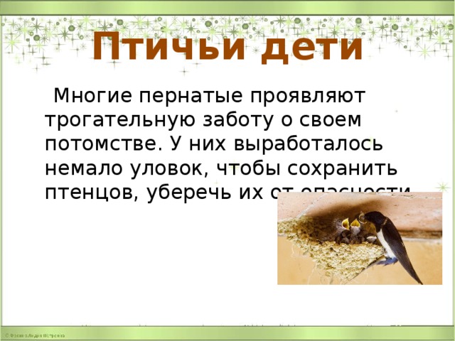Птичьи дети  Многие пернатые проявляют трогательную заботу о своем потомстве. У них выработалось немало уловок, чтобы сохранить птенцов, уберечь их от опасности. 