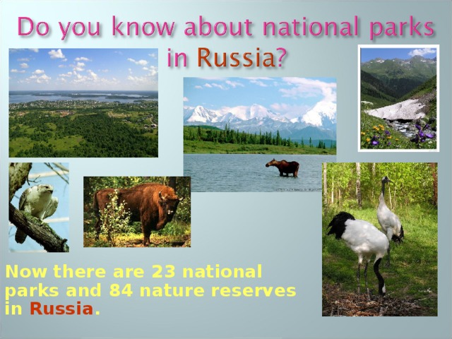  Now there are 23 national parks and 84 nature reserves in Russia . 