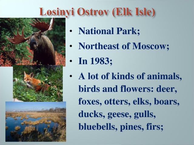 National Park; Northeast of Moscow; In 1983; A lot of kinds of animals, birds and flowers: deer, foxes, otters, elks, boars, ducks, geese, gulls, bluebells, pines, firs;  