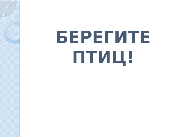 БЕРЕГИТЕ ПТИЦ! 
