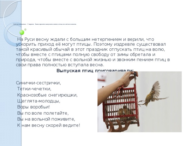         На Благовещенье - 7 апреля - было принято выпускать певчих птиц из клеток на волю.  На Руси весну ждали с большим нетерпением и верили, что ускорить приход её могут птицы. Поэтому издревле существовал такой красивый обычай в этот праздник отпускать птиц на волю, чтобы вместе с птицами полную свободу от зимы обретала и природа, чтобы вместе с вольной жизнью и звонким пением птиц в свои права полностью вступала весна.  Выпуская птиц приговаривали: Синички-сестрички,  Тетки-чечетки,  Краснозобые снегирюшки,  Щеглята-молодцы,  Воры воробьи!  Вы по воле полетайте,  Вы на вольной поживите,  К нам весну скорей ведите! 