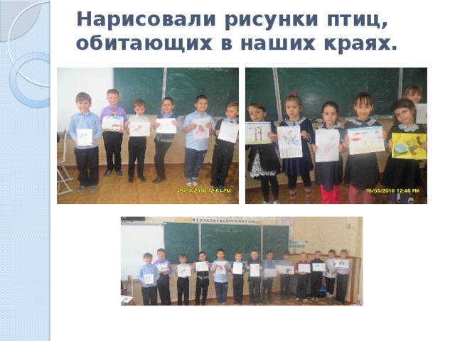 Нарисовали рисунки птиц,  обитающих в наших краях.   