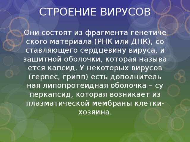 СТРОЕНИЕ ВИРУСОВ   Они со­сто­ят из фраг­мен­та ге­не­ти­че­ско­го ма­те­ри­а­ла (РНК или ДНК), со­став­ля­ю­ще­го серд­це­ви­ну ви­ру­са, и за­щит­ной обо­лоч­ки, ко­то­рая на­зы­ва­ет­ся кап­сид. У неко­то­рых ви­ру­сов (гер­пес, грипп) есть до­пол­ни­тель­ная ли­по­про­те­ид­ная обо­лоч­ка – су­пер­кап­сид, ко­то­рая воз­ни­ка­ет из плаз­ма­ти­че­ской мем­бра­ны клет­ки-хо­зя­и­на. 