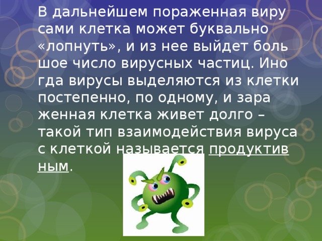 В даль­ней­шем по­ра­жен­ная ви­ру­са­ми клет­ка может бук­валь­но «лоп­нуть», и из нее вый­дет боль­шое число ви­рус­ных ча­стиц. Ино­гда ви­ру­сы вы­де­ля­ют­ся из клет­ки по­сте­пен­но, по од­но­му, и за­ра­жен­ная клет­ка живет долго – такой тип вза­и­мо­дей­ствия ви­ру­са с клет­кой на­зы­ва­ет­ся про­дук­тив­ным . 