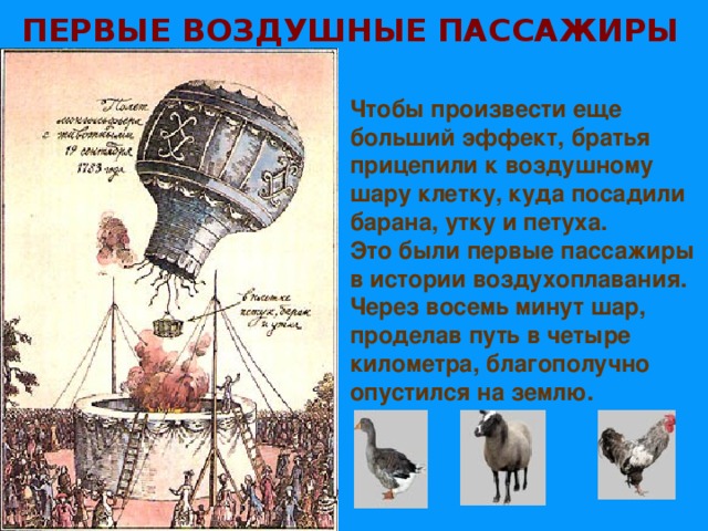 ПЕРВЫЕ ВОЗДУШНЫЕ ПАССАЖИРЫ   Чтобы произвести еще больший эффект, братья прицепили к воздушному шару клетку, куда посадили барана, утку и петуха. Это были первые пассажиры в истории воздухоплавания. Через восемь минут шар, проделав путь в четыре километра, благополучно опустился на землю.    