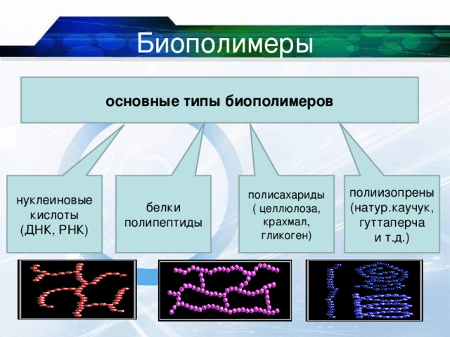 Биополимеры основные типы биополимеров нуклеиновые кислоты (ДНК, РНК) белки полипептиды полисахариды ( целлюлоза, крахмал, гликоген) полиизопрены (натур.каучук, гуттаперча и т.д.) 15.12.16 