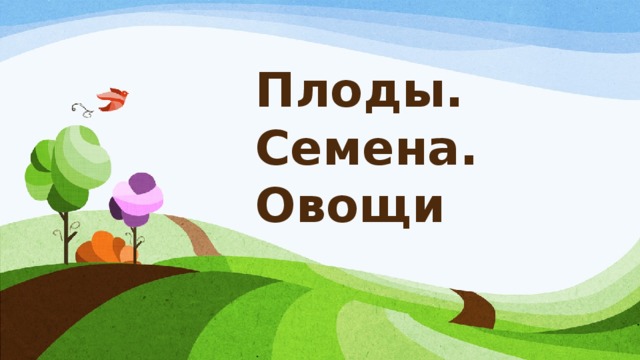 Плоды.  Семена.  Овощи 