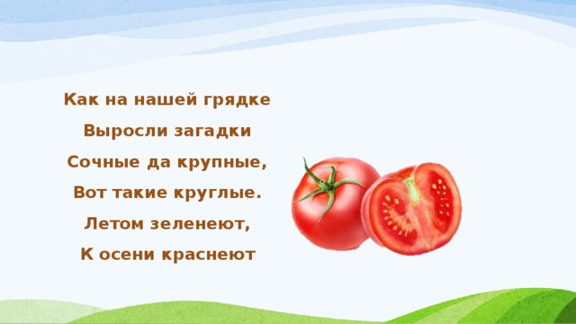 Как на нашей грядке Выросли загадки Сочные да крупные, Вот такие круглые. Летом зеленеют, К осени краснеют 
